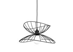 Laelamp Ray, must