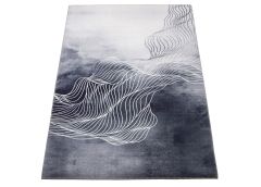 Vaip G5488-1 120x170